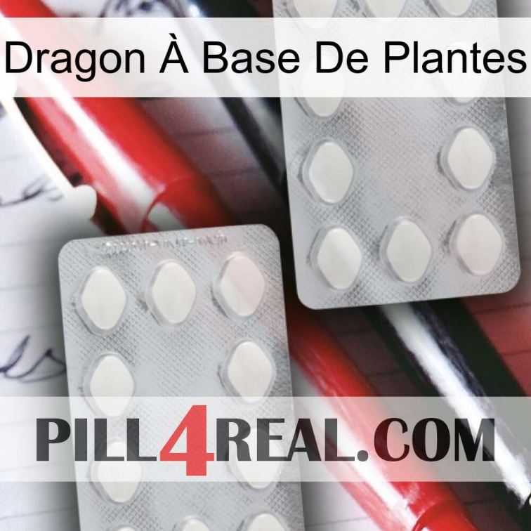 Dragon À Base De Plantes 17